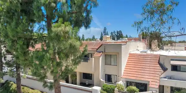 6 Aruba