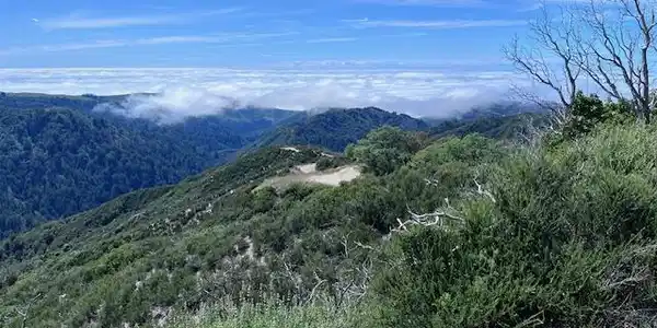 10 Long Ridge, Palo Colorado Road