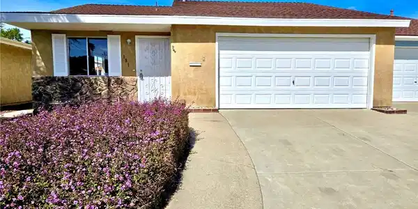 181 Janet