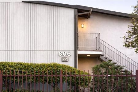 806 Coriander