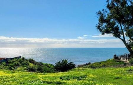 35295 Camino Capistrano