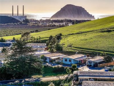 313 San Gabriel Avenue