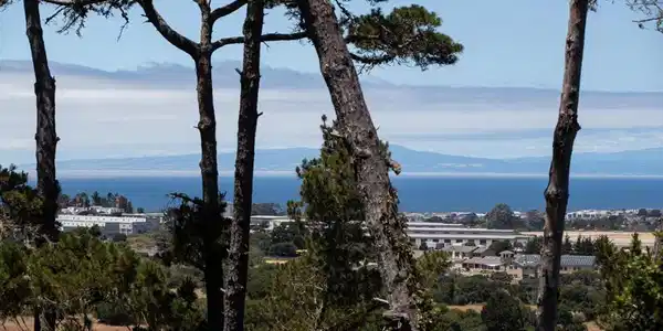 7567 Paseo Vista