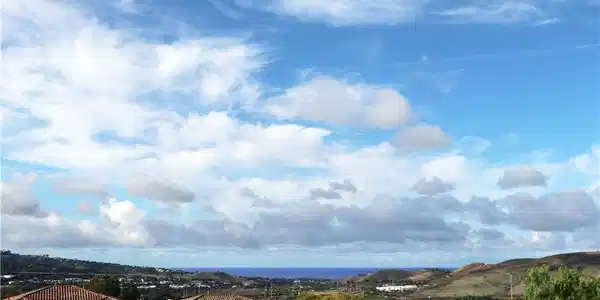 19 Calle Estilo Nuevo