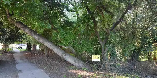 962 Regal Rd