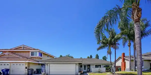 17283 Buttonwood