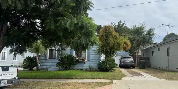 25410 Oak