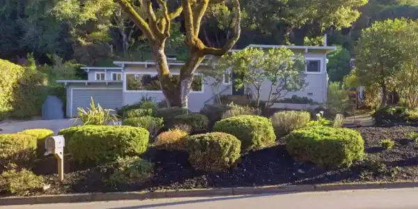 1831 Cordilleras Road