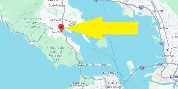 150 Shoreline Hwy