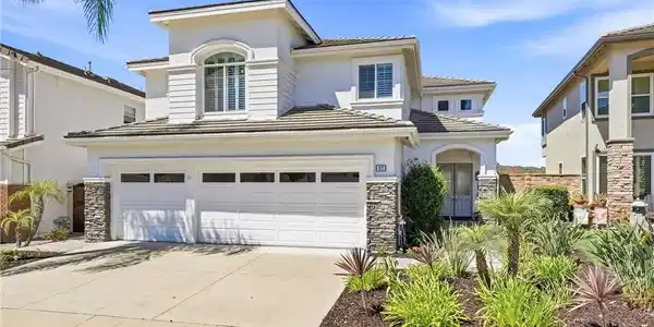37 Rockrose