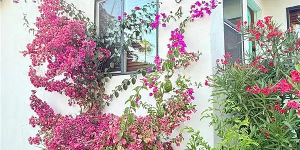 884 W Sepulveda