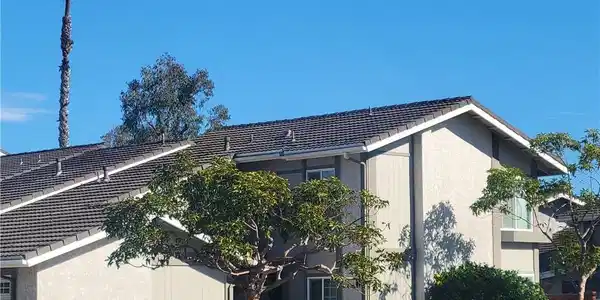 376 Calle Borrego