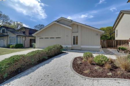 33787 Shylock Dr