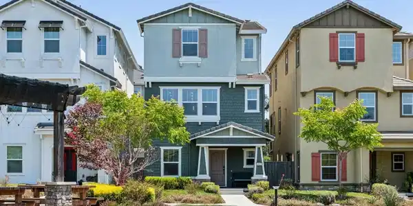 24157 Amaranth Loop