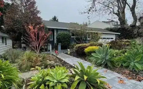 1379 Vista Grande