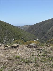 12110 Yellow Hill