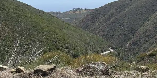 12110 Yellow Hill