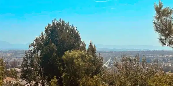 41 La Mirage