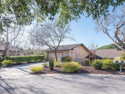11 Susan Gale Court