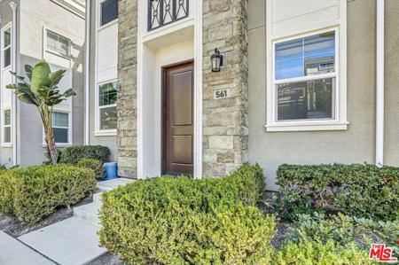 561 Winchester Drive