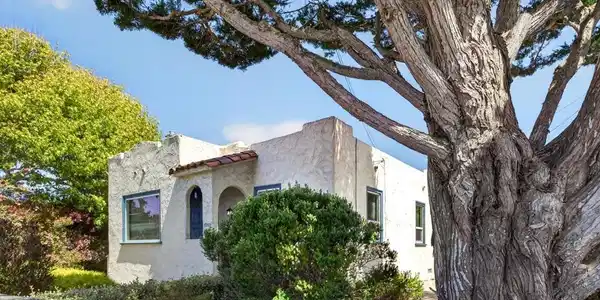 1099 David Avenue