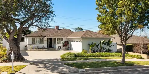 26621 Basswood