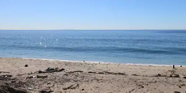 21306 Pacific Coast Highway