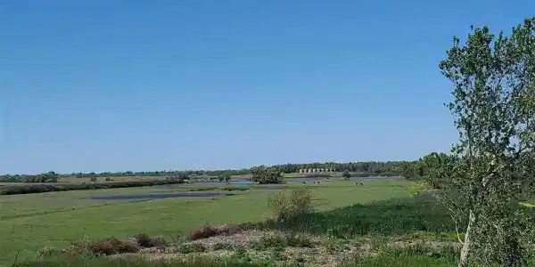 0 Bradford Island