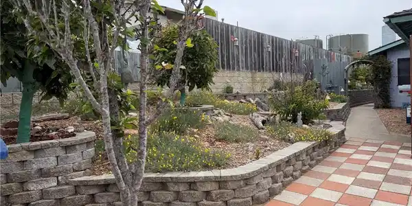 Image 4
