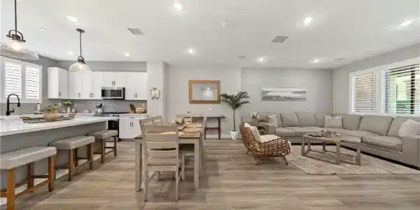 32036 Paseo Vienta