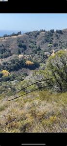 46190 Pfeiffer Ridge Rd