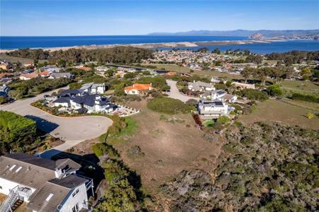 286 San Leandro Court