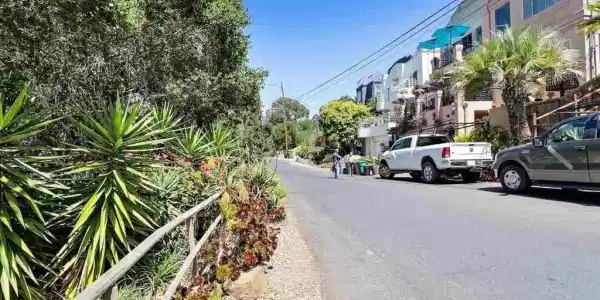 Outlook Ave