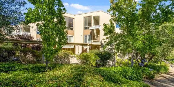 320 Vallejo Drive