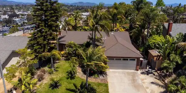 157 Beechtree Drive