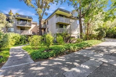 4359 Shelter Creek Lane