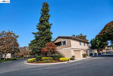 32844 Arbor Vine Dr