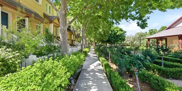 49096 Woodgrove