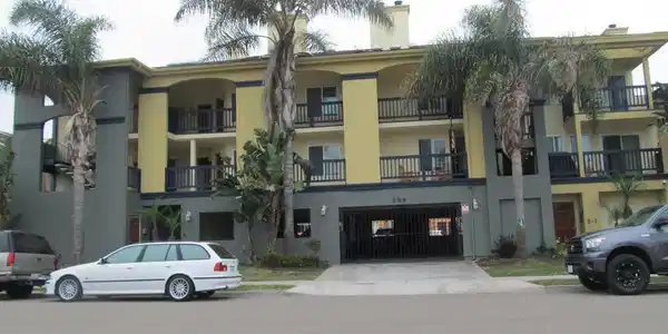 259 Donax