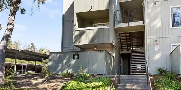 1333 N Camino Alto