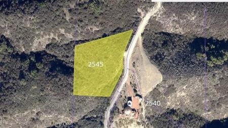2545 Cayman Road