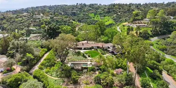 100 Saddleback