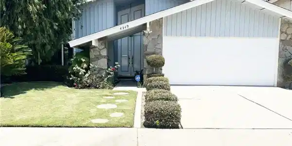 4349 Candleberry