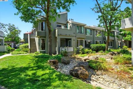 6446 Buena Vista Dr