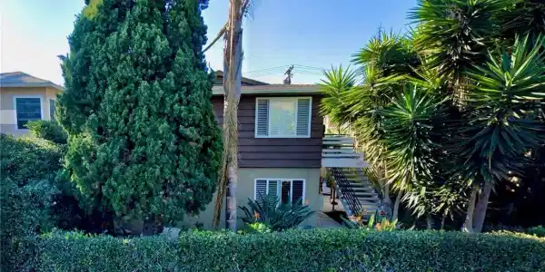 387 Cypress