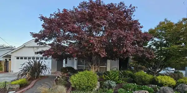 3305 Arcadian Dr