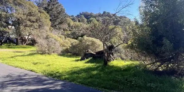 Sobrante Ave
