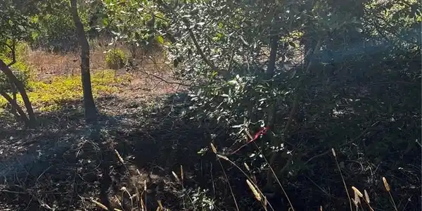 3236 Gleason Street