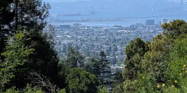 528 Panoramic Way