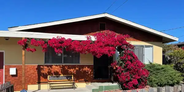 1313 Harding Street